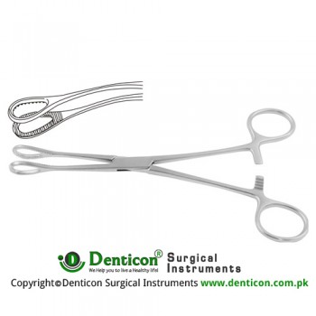 Foerster Sponge Holding Forcep Curved Stainless Steel, 17.5 cm - 7"